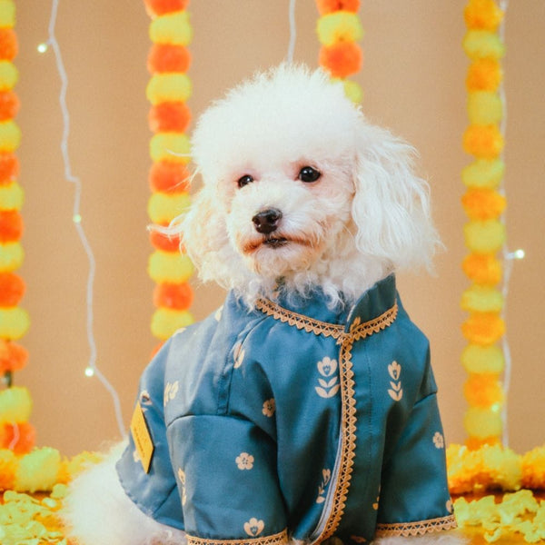 15 Furries Khwaish Kurta for Dogs (Teal Blue)