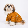15 Furries Jashn Mustard Sherwani for Dogs (Yellow/Gold) Dogs-Clothing & Accessories 15 Furries Dropship