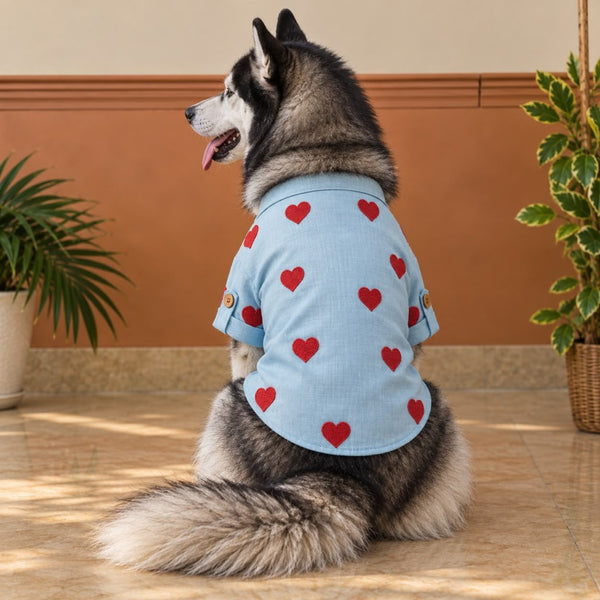 15 Furries Linen Heart Embroidered Kurta for Dogs (Baby Blue)
