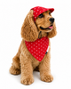 Pawgypets Star Denim Cap and Bandana Set for Dogs and Cats (Red) Both-Clothing & Accessories Pawgypets Dropship S