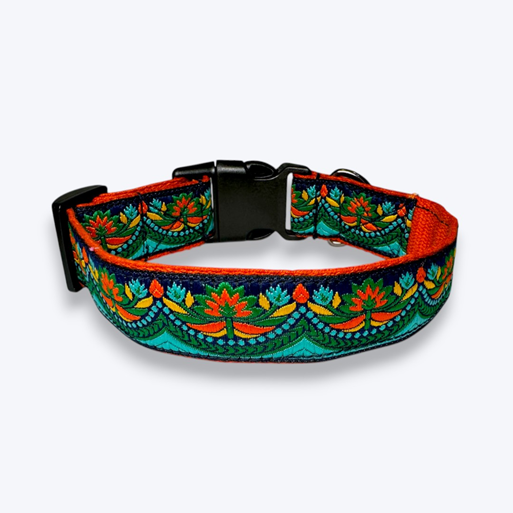 Aramesh Fire and Ice Adjustable Collar for Dogs (Orange and Green) Dogs-Collar, Leashes, harnesses Aramesh Dropship