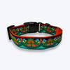 Aramesh Fire and Ice Adjustable Collar for Dogs (Orange and Green) Dogs-Collar, Leashes, harnesses Aramesh Dropship