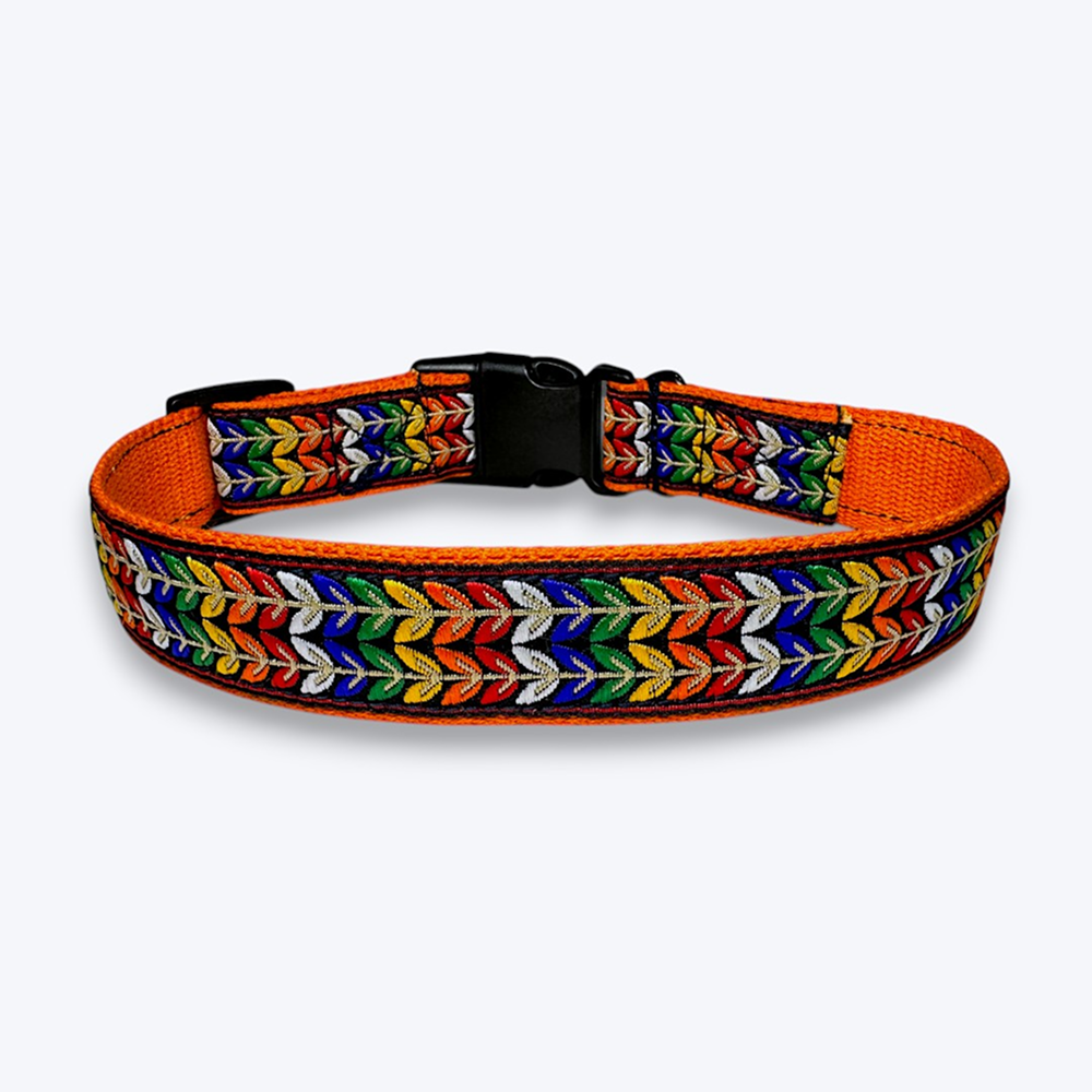 Aramesh Colourful Trails Adjustable Collar for Dogs (Orange) Dogs-Collar, Leashes, harnesses Aramesh Dropship