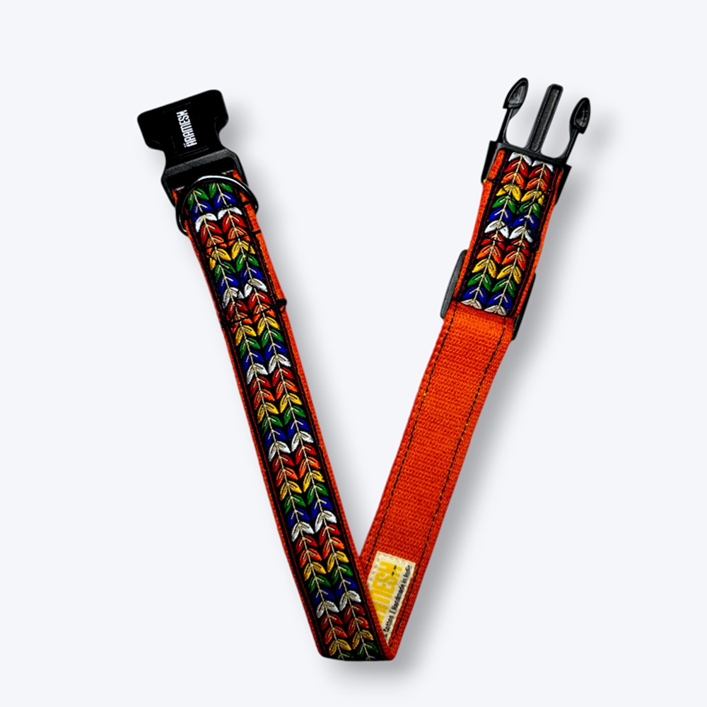 Aramesh Colourful Trails Adjustable Collar for Dogs (Orange) Dogs-Collar, Leashes, harnesses Aramesh Dropship