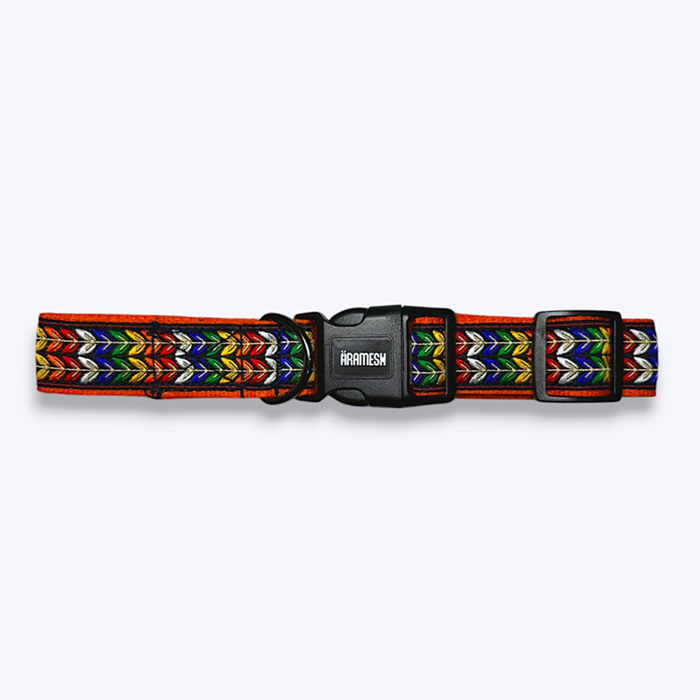Aramesh Colourful Trails Adjustable Collar for Dogs (Orange) Dogs-Collar, Leashes, harnesses Aramesh Dropship