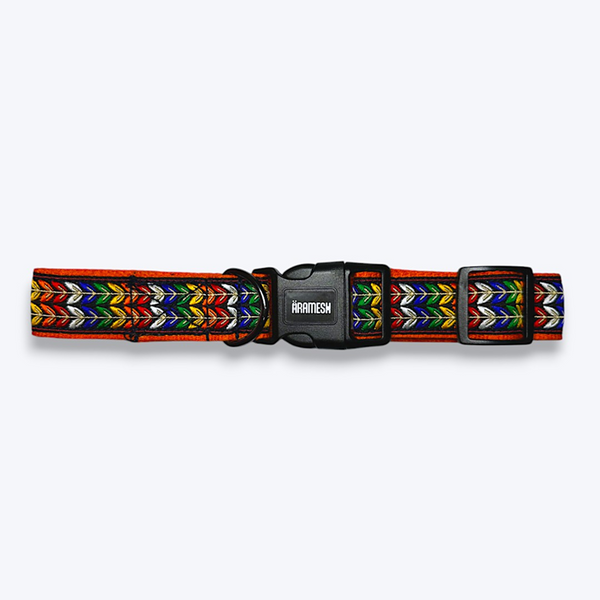 Aramesh Colourful Trails Adjustable Collar for Dogs (Orange)