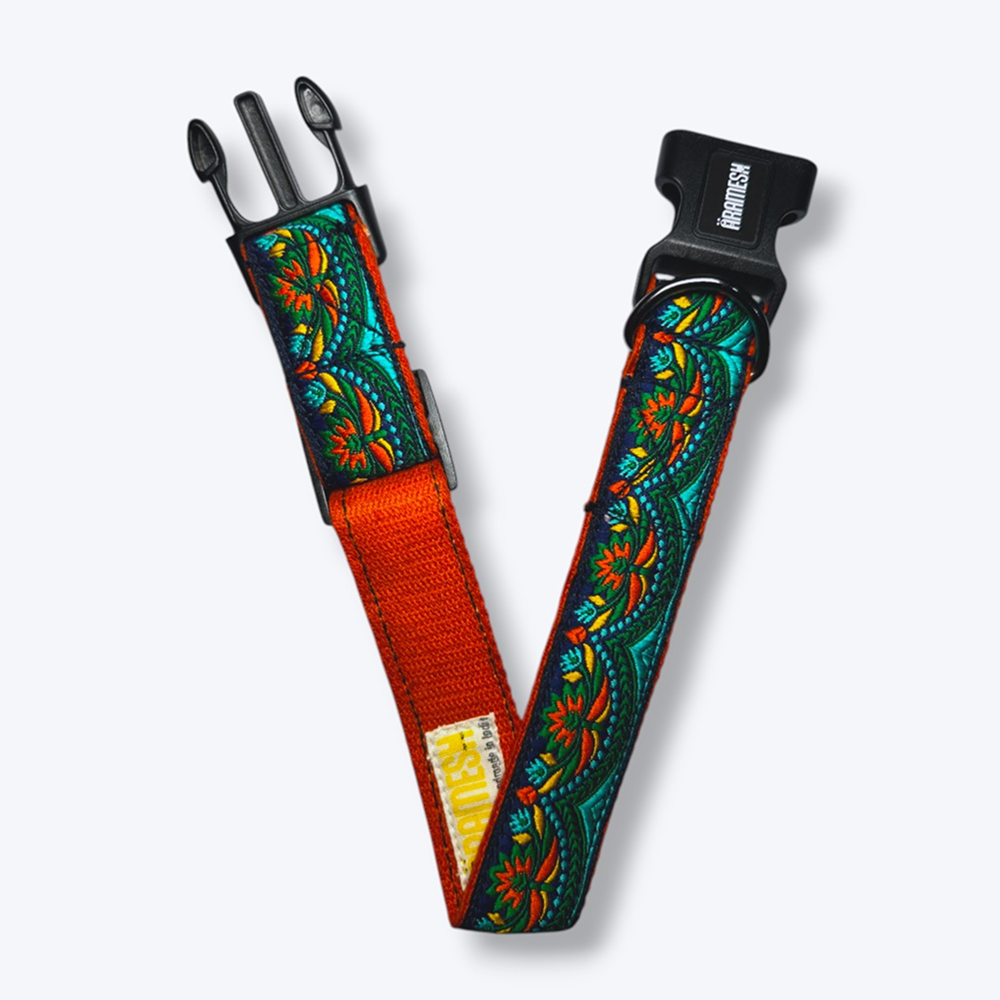 Aramesh Fire and Ice Adjustable Collar for Dogs (Orange and Green) Dogs-Collar, Leashes, harnesses Aramesh Dropship