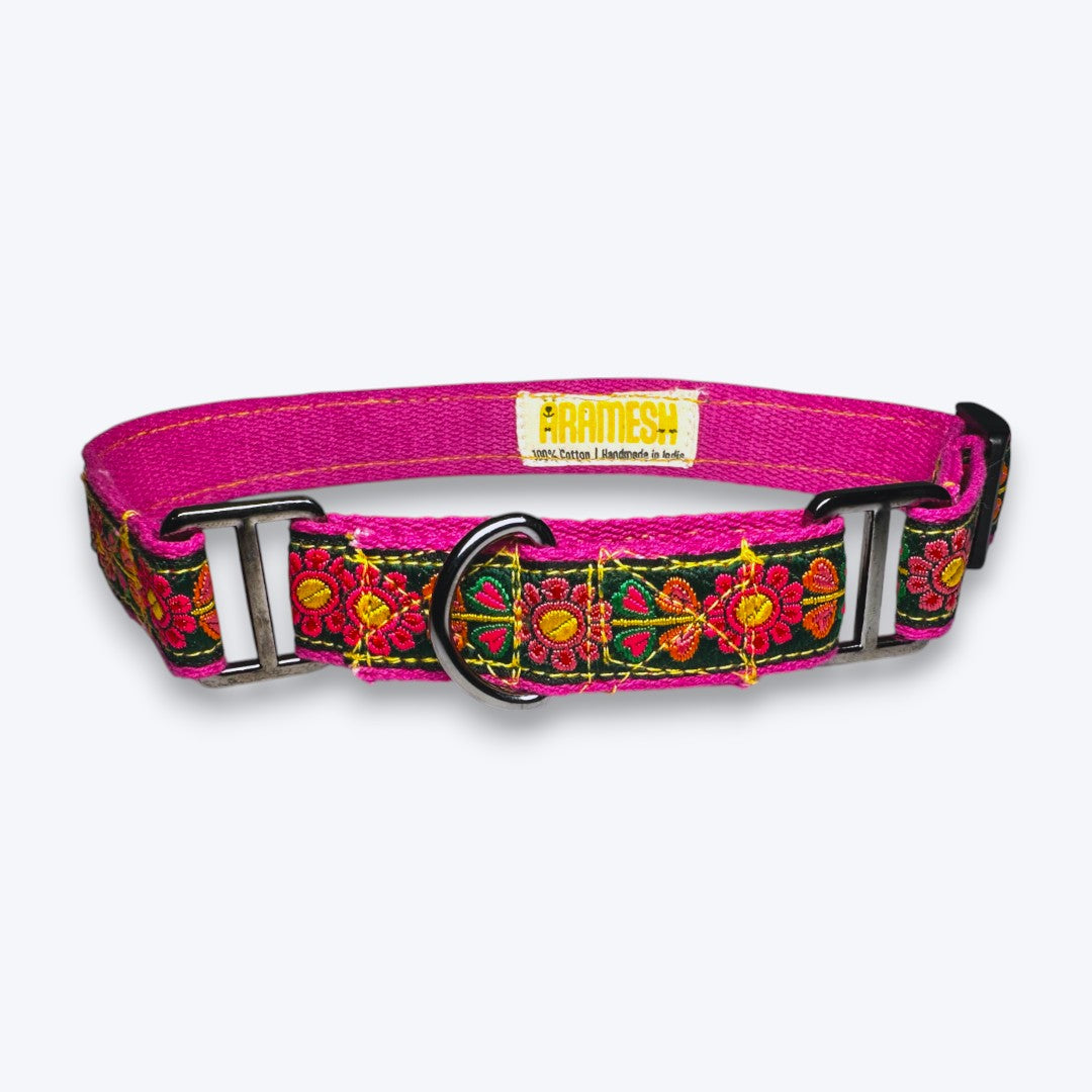 Aramesh Emerald Glow Martingale Collar for Dogs (Pink and Green) Dogs-Collar, Leashes, harnesses Aramesh Dropship S