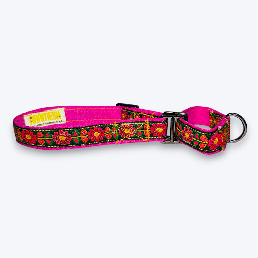 Aramesh Emerald Glow Martingale Collar for Dogs (Pink and Green) Dogs-Collar, Leashes, harnesses Aramesh Dropship