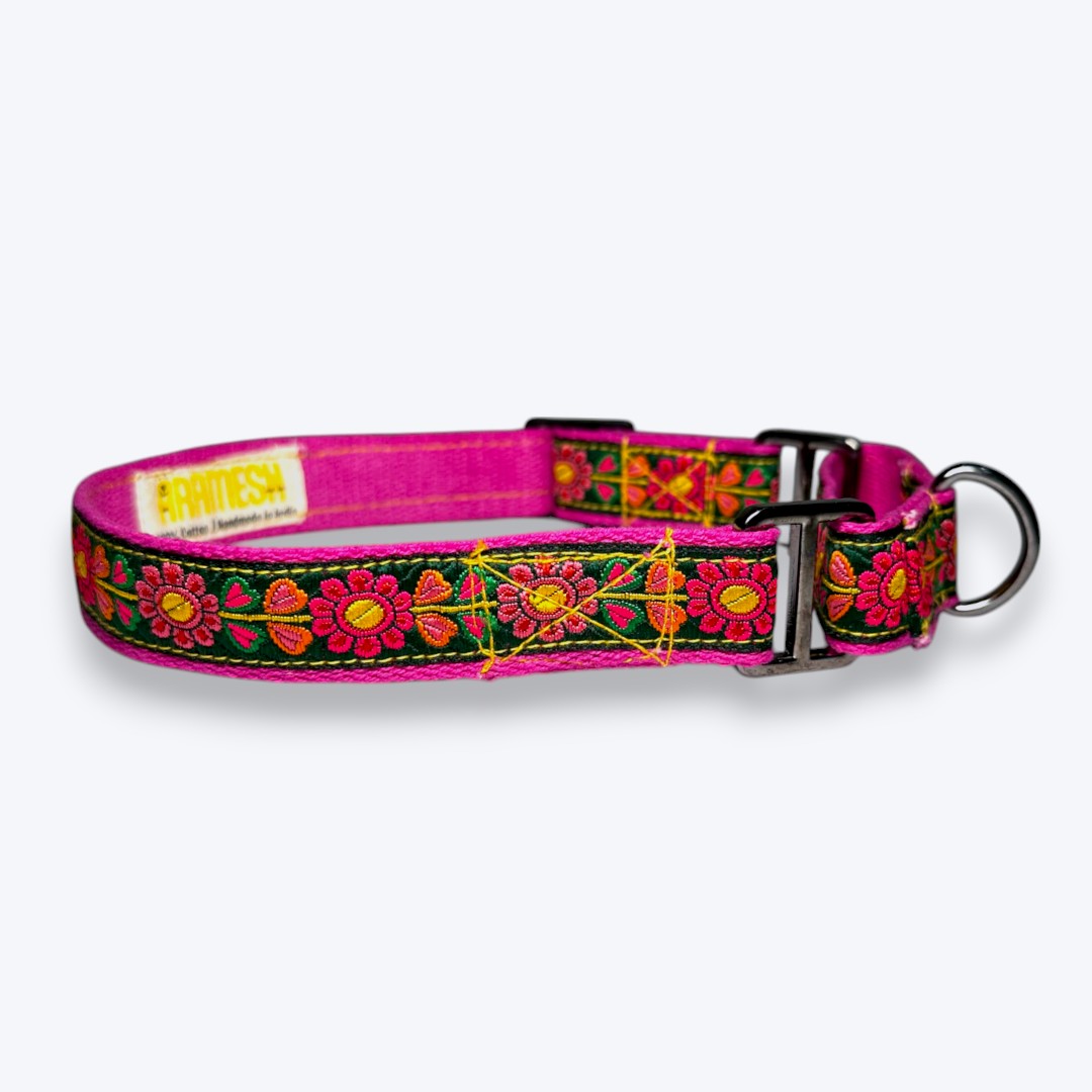 Aramesh Emerald Glow Martingale Collar for Dogs (Pink and Green) Dogs-Collar, Leashes, harnesses Aramesh Dropship