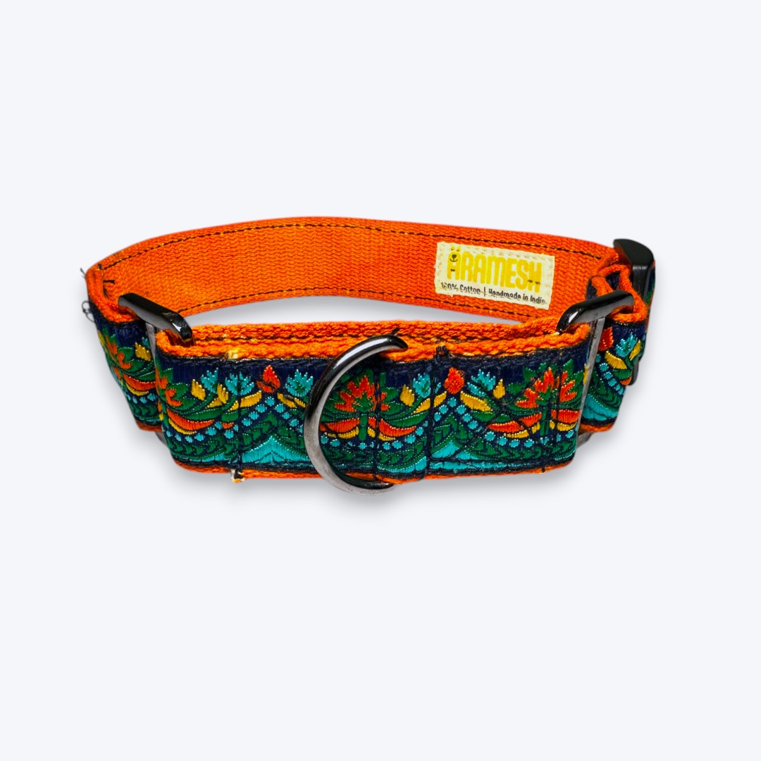 Aramesh Fire and Ice Martingale Collar for Dogs (Orange and Green) Dogs-Collar, Leashes, harnesses Aramesh Dropship S