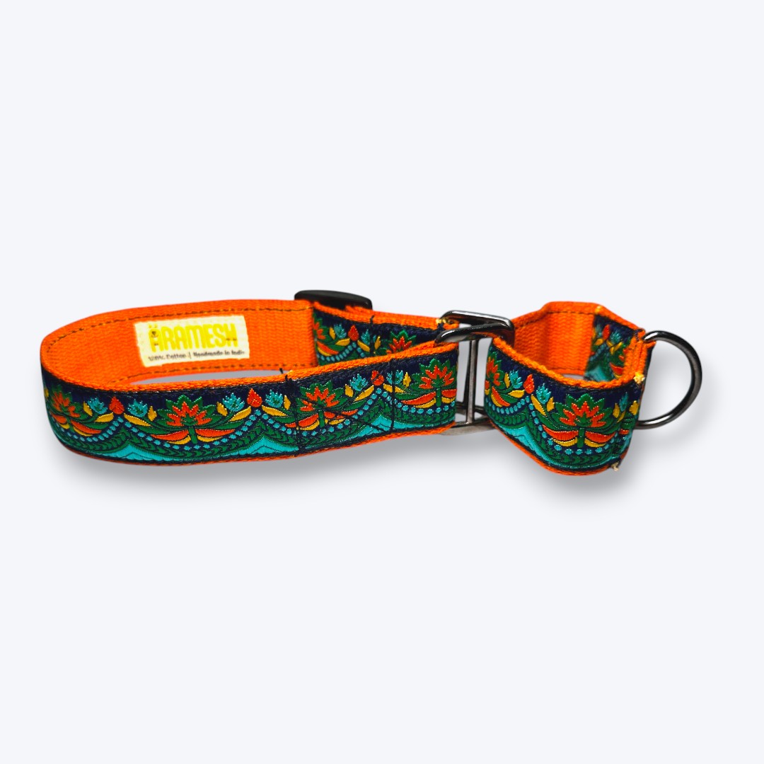 Aramesh Fire and Ice Martingale Collar for Dogs (Orange and Green) Dogs-Collar, Leashes, harnesses Aramesh Dropship