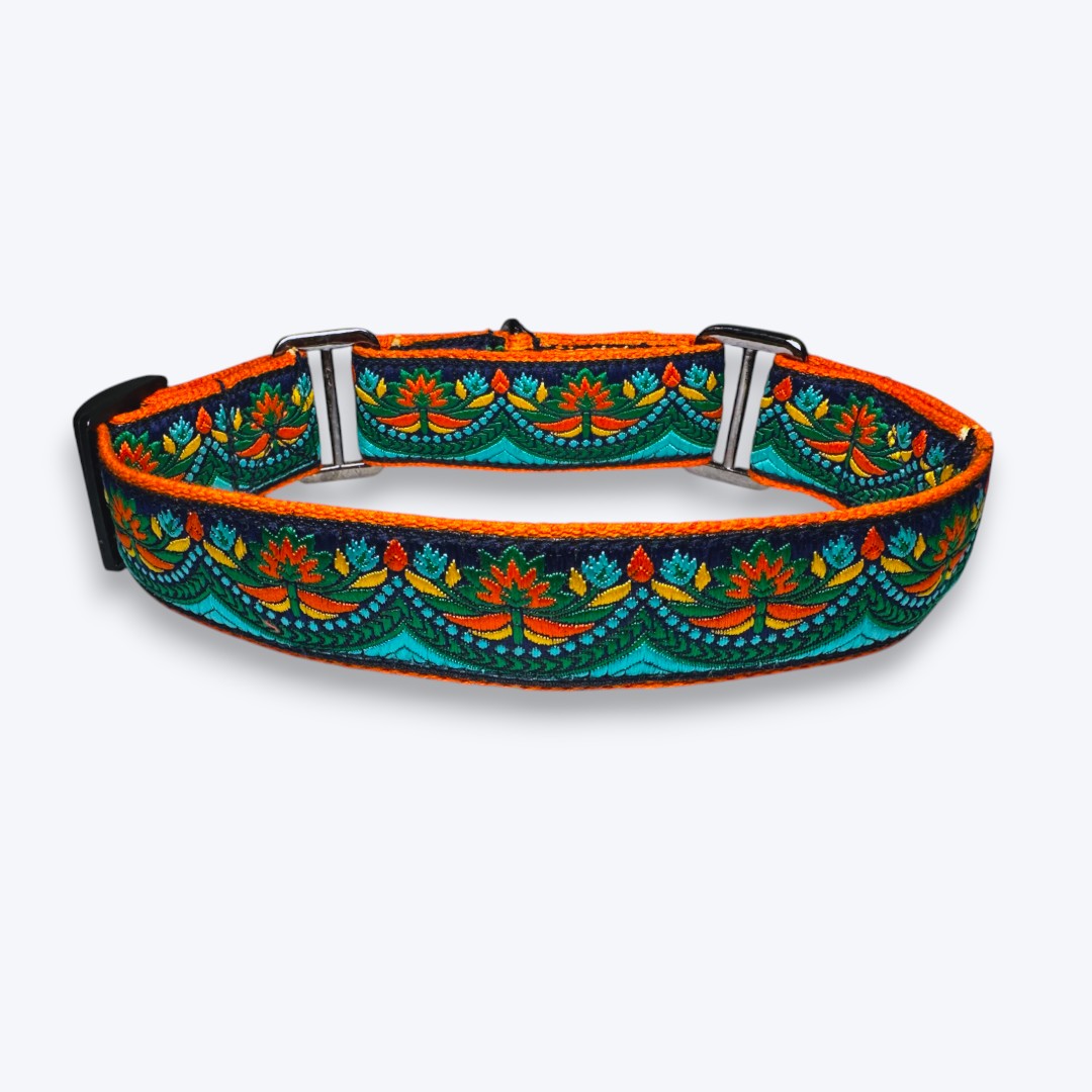 Aramesh Fire and Ice Martingale Collar for Dogs (Orange and Green) Dogs-Collar, Leashes, harnesses Aramesh Dropship