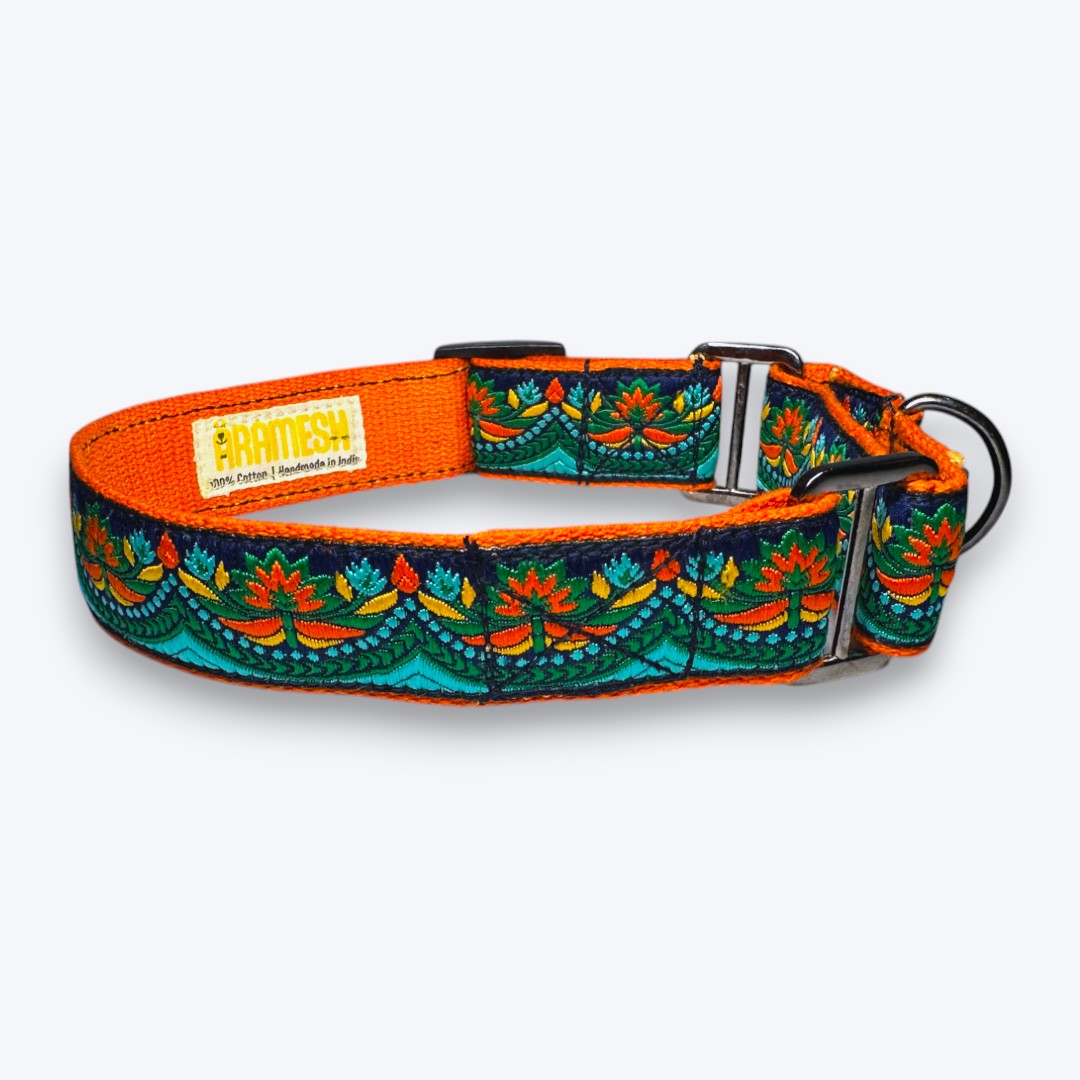 Aramesh Fire and Ice Martingale Collar for Dogs (Orange and Green) Dogs-Collar, Leashes, harnesses Aramesh Dropship