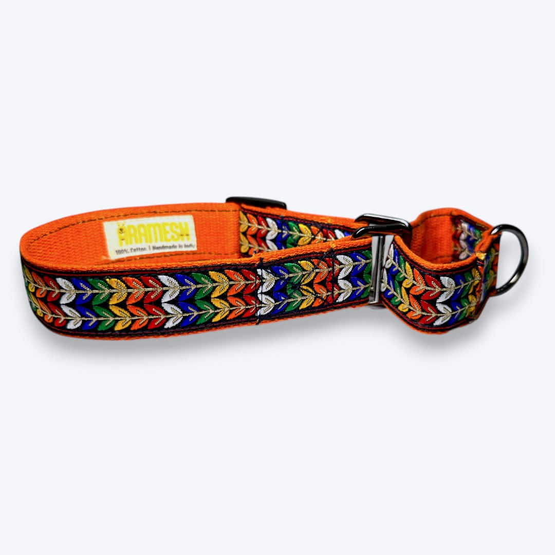 Aramesh Colourful Trails Martingale Collar for Dogs (Orange) Dogs-Collar, Leashes, harnesses Aramesh Dropship