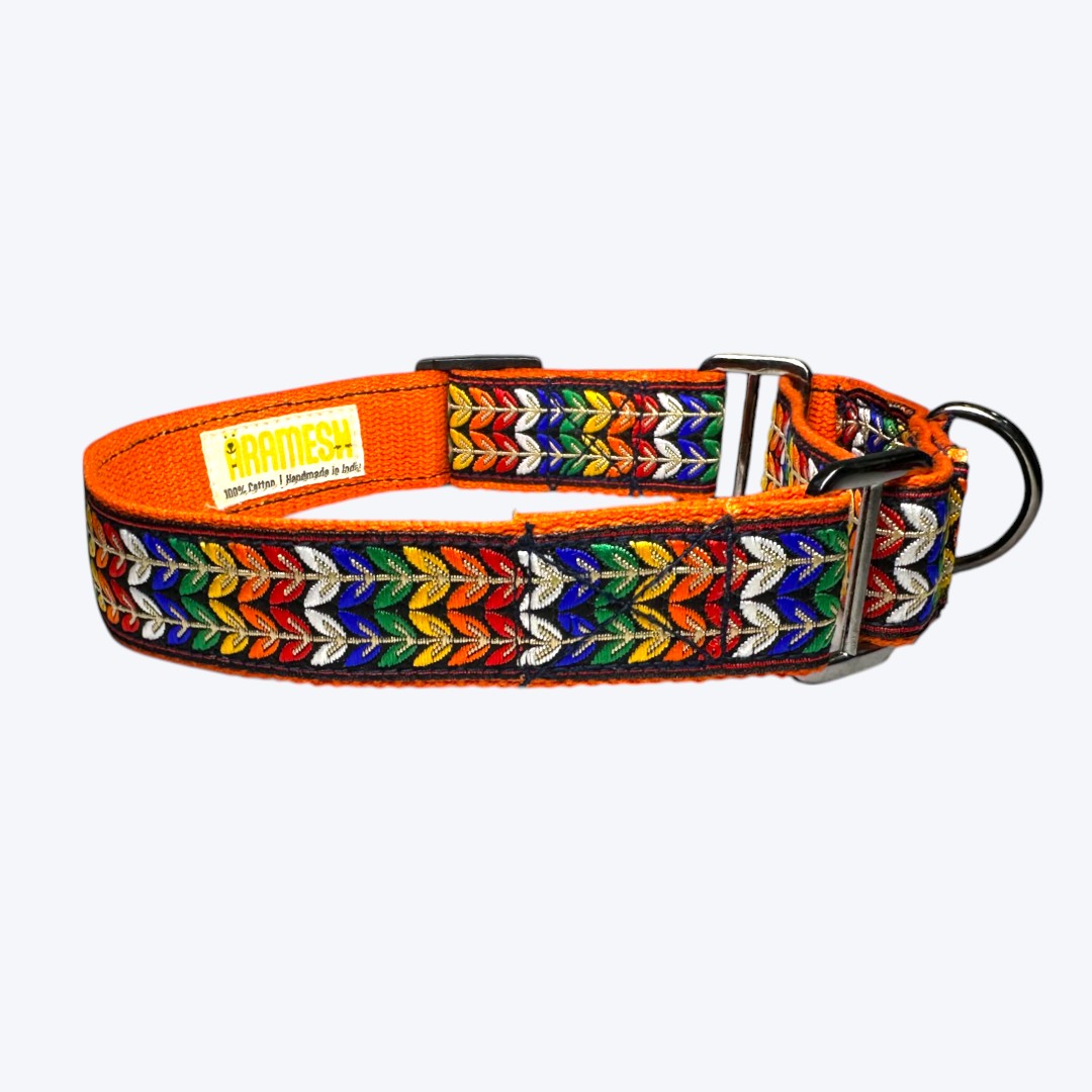 Aramesh Colourful Trails Martingale Collar for Dogs (Orange) Dogs-Collar, Leashes, harnesses Aramesh Dropship
