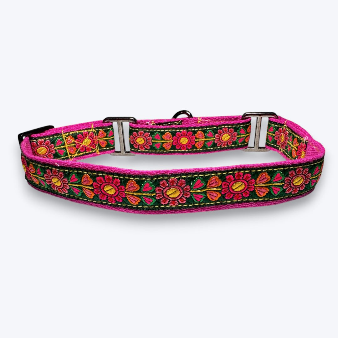 Aramesh Emerald Glow Martingale Collar for Dogs (Pink and Green) Dogs-Collar, Leashes, harnesses Aramesh Dropship