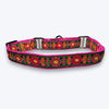 Aramesh Emerald Glow Martingale Collar for Dogs (Pink and Green) Dogs-Collar, Leashes, harnesses Aramesh Dropship