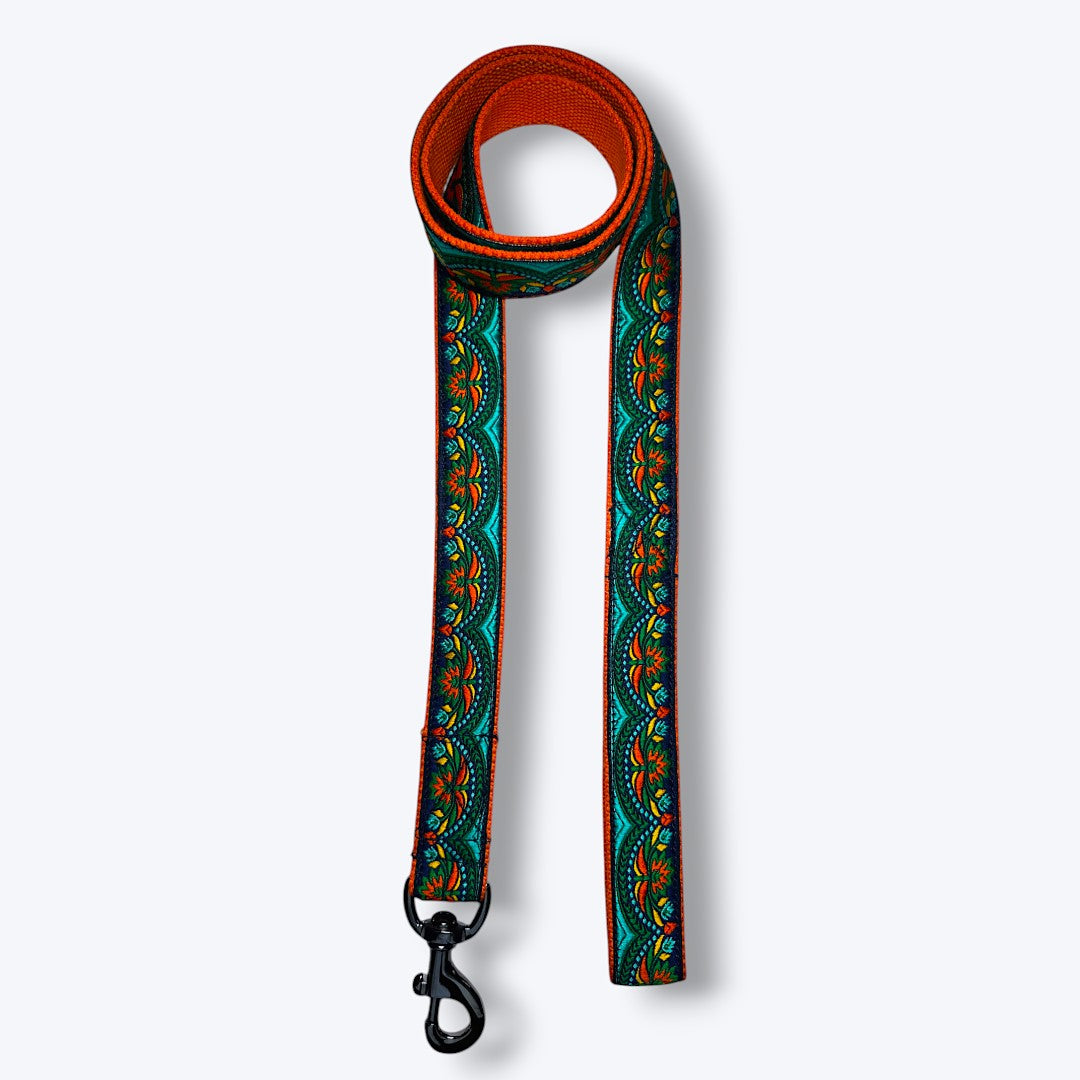 Aramesh Fire and Ice Leash for Dogs (Orange and Green) Dogs-Collar, Leashes, harnesses Aramesh Dropship Length: 55in