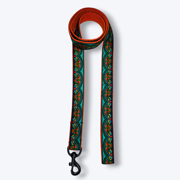 Aramesh Fire and Ice Leash for Dogs (Orange and Green)