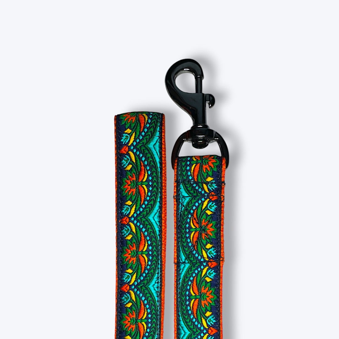 Aramesh Fire and Ice Leash for Dogs (Orange and Green) Dogs-Collar, Leashes, harnesses Aramesh Dropship