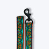 Aramesh Fire and Ice Leash for Dogs (Orange and Green) Dogs-Collar, Leashes, harnesses Aramesh Dropship