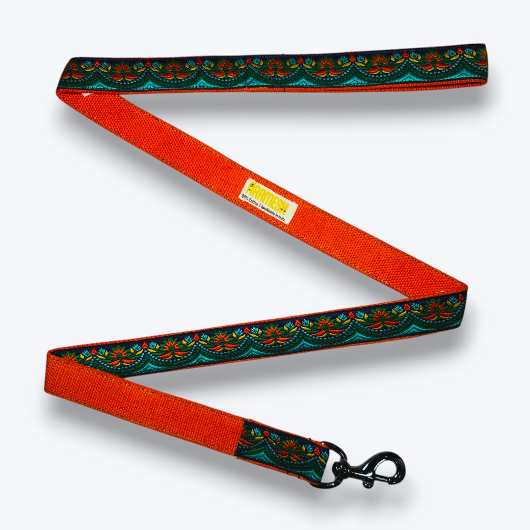 Aramesh Fire and Ice Leash for Dogs (Orange and Green) Dogs-Collar, Leashes, harnesses Aramesh Dropship