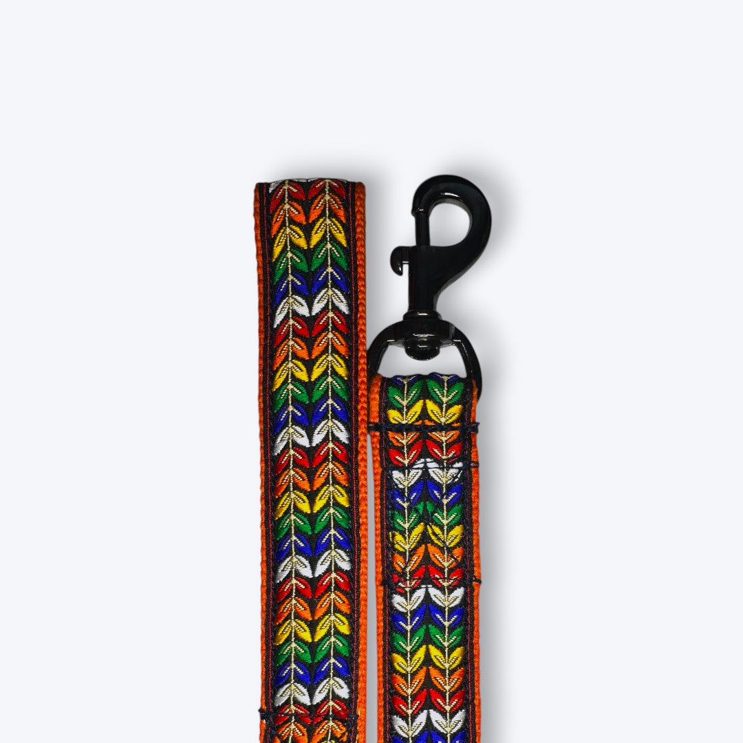Aramesh Colorful Trails Leash for Dogs (Orange with Multicolor) Dogs-Collar, Leashes, harnesses Aramesh Dropship