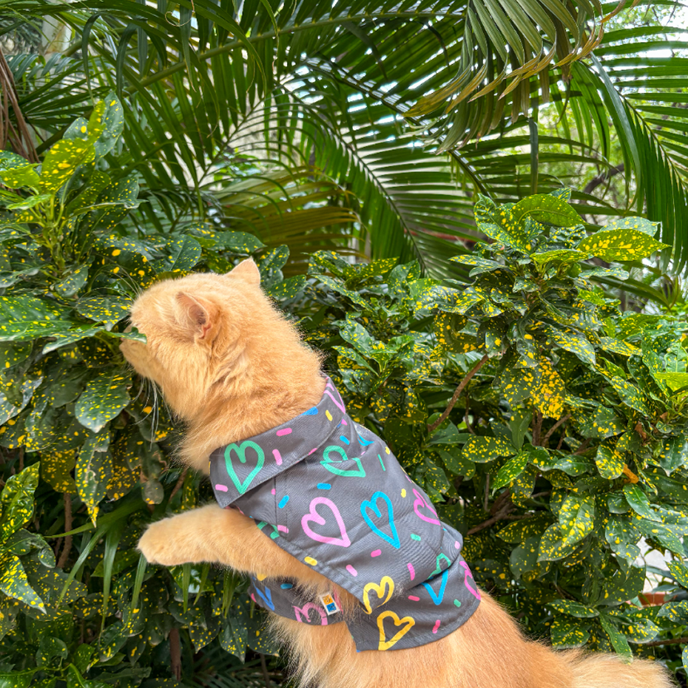 15 Furries Heart Buzz Shirt for Cats (Black) Cats-Clothing & Accessories 15 Furries Dropship