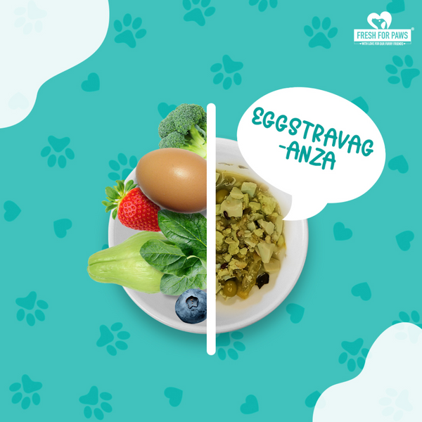 Fresh For Paws Variety Pack Wet Food for Dogs