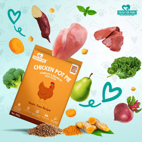 Fresh For Paws Chicken Pot Pie Wet Food for Dogs (300g)