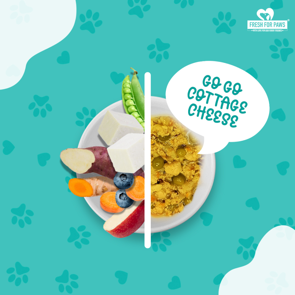 Fresh For Paws Go Go Cottage Cheese Dog Wet Food (300g) Dogs-Fresh Food Fresh For Paws