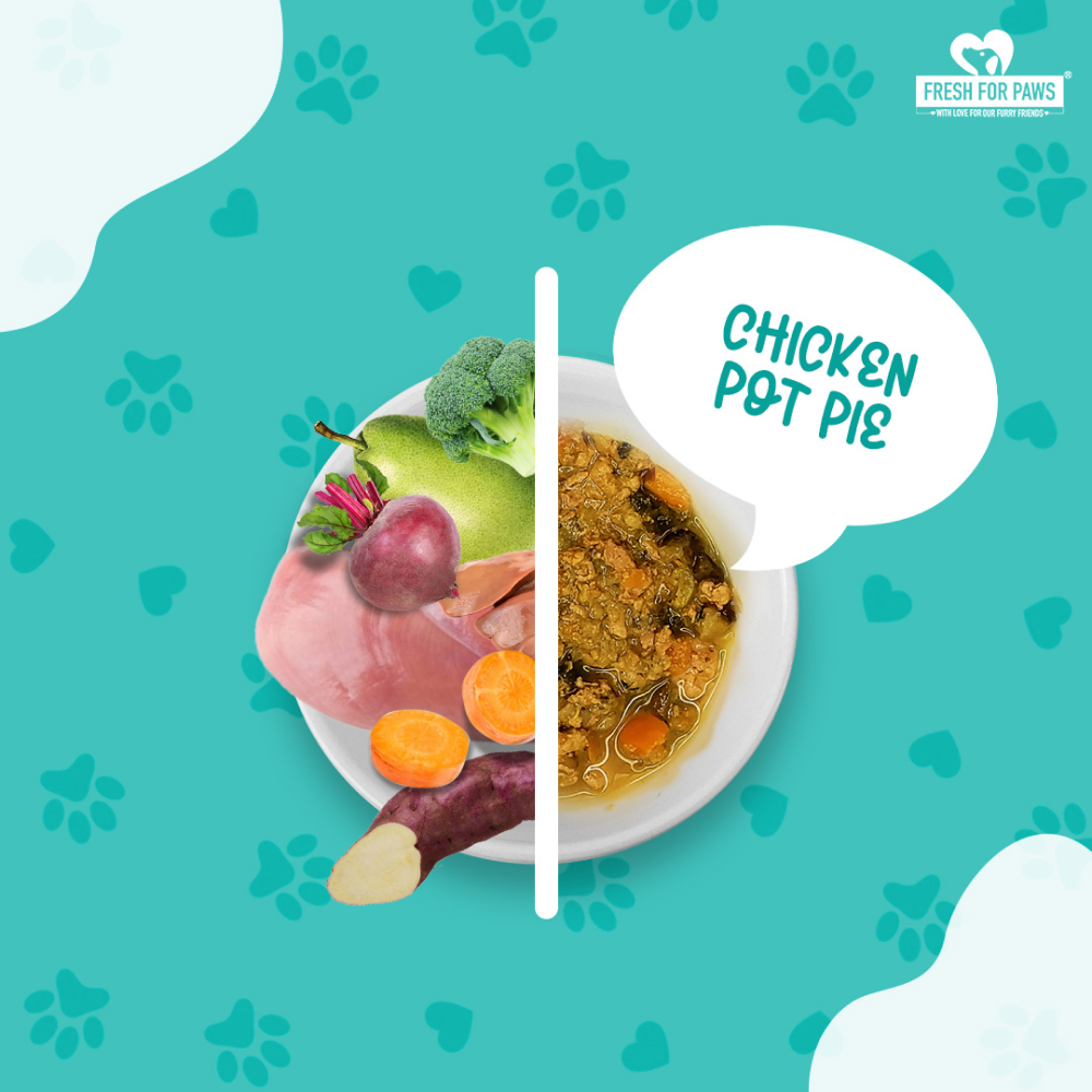 Fresh For Paws Chicken Pot Pie Wet Food for Cats and Dogs (300g)