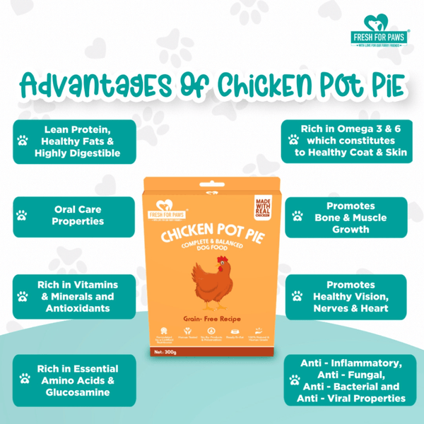Fresh For Paws Chicken Pot Pie Wet Food for Dogs (300g)