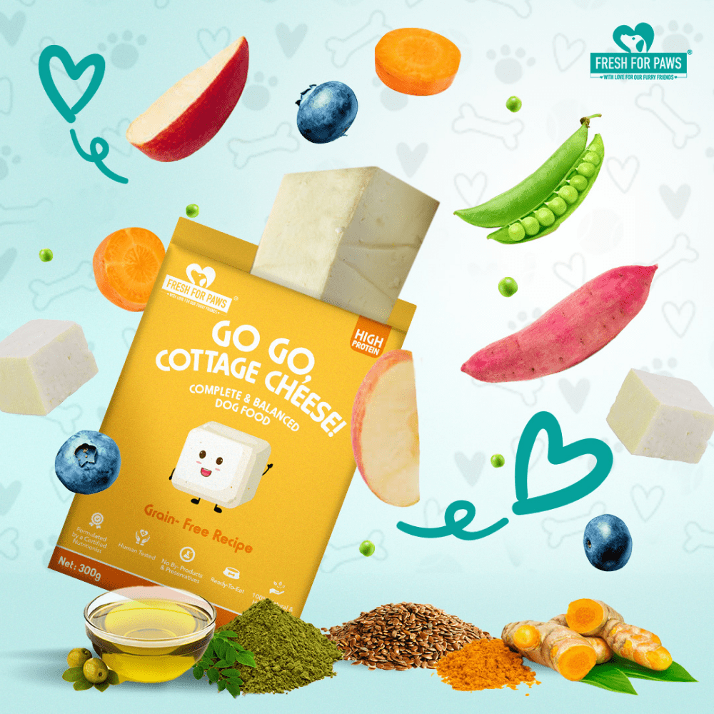 Fresh For Paws Go Go Cottage Cheese Dog Wet Food (300g) Dogs-Fresh Food Fresh For Paws