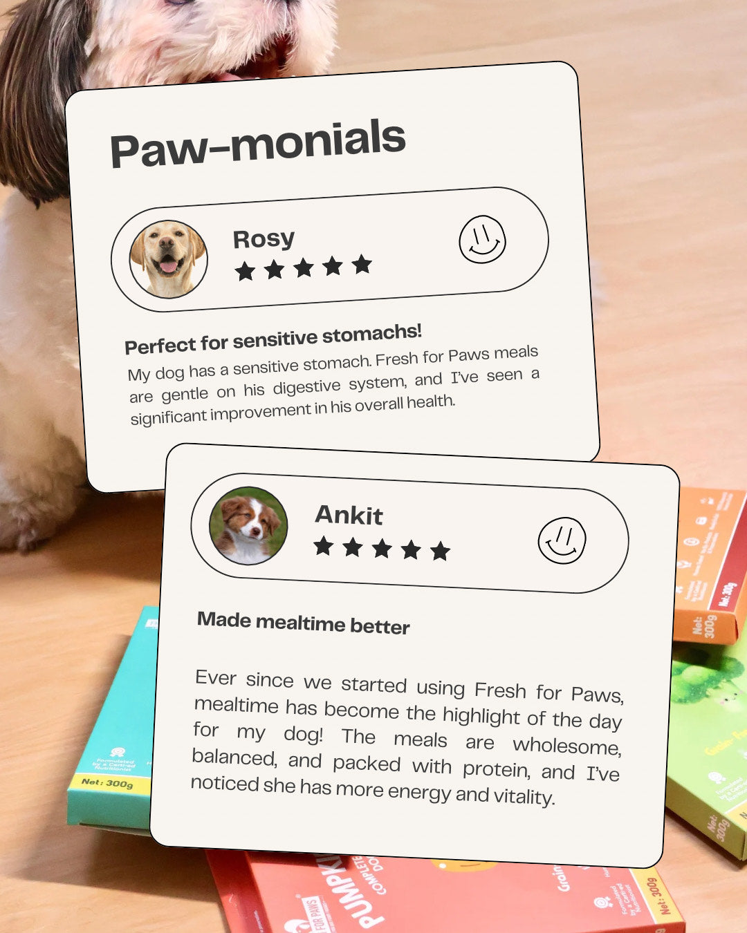 Fresh For Paws Chicken Liver & Pumpkin Liv Love Supplement for Dogs Dogs-Health & Wellness Fresh For Paws