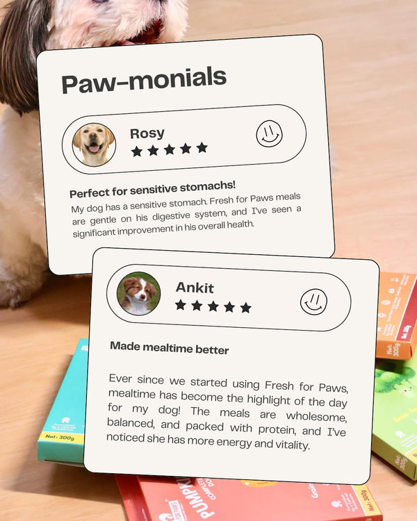 Fresh For Paws Eggstravaganza Dog Wet Food (100g)