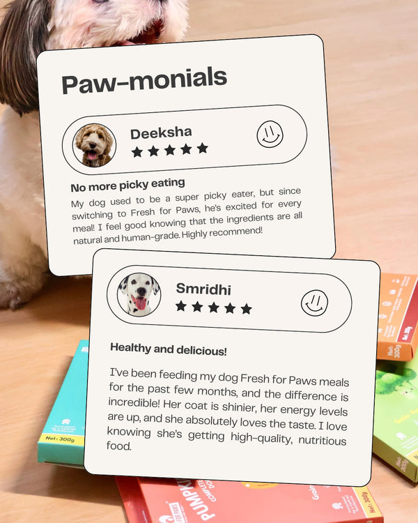 Buy Fresh For Paws Peanut Butter for Dogs Online Supertails