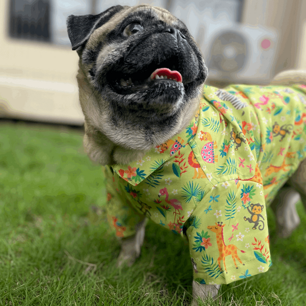 15buttons Madagascar Shirt for Dogs