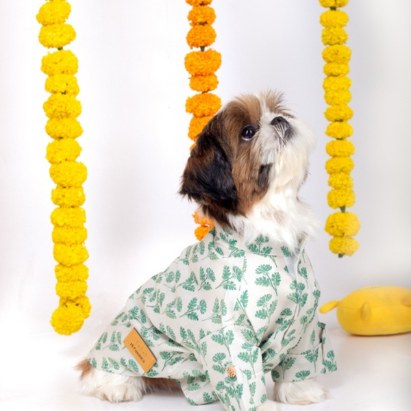 15 Furries Hariyali Kurta for Dogs
