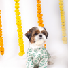 15 Furries Hariyali Kurta for Dogs Dogs-Clothing & Accessories 15 Furries Dropship