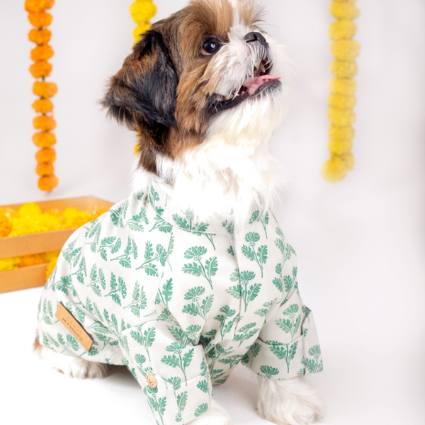 15 Furries Hariyali Kurta for Dogs