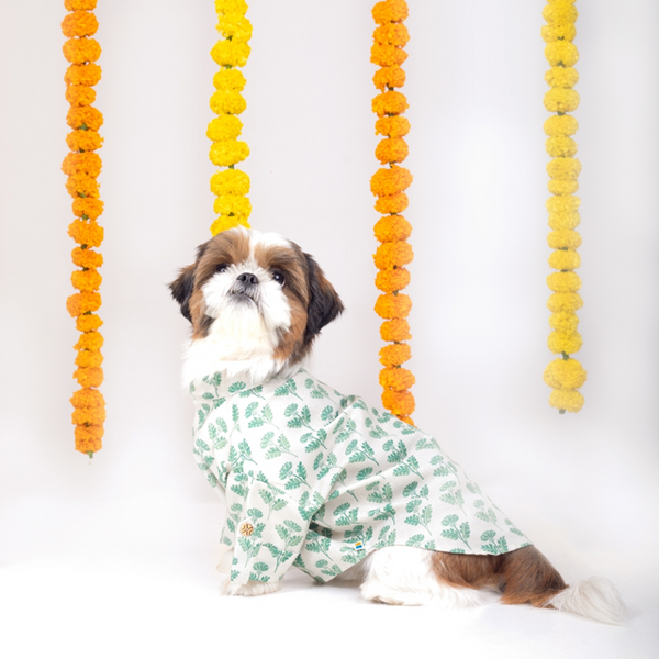 15 Furries Hariyali Kurta for Dogs