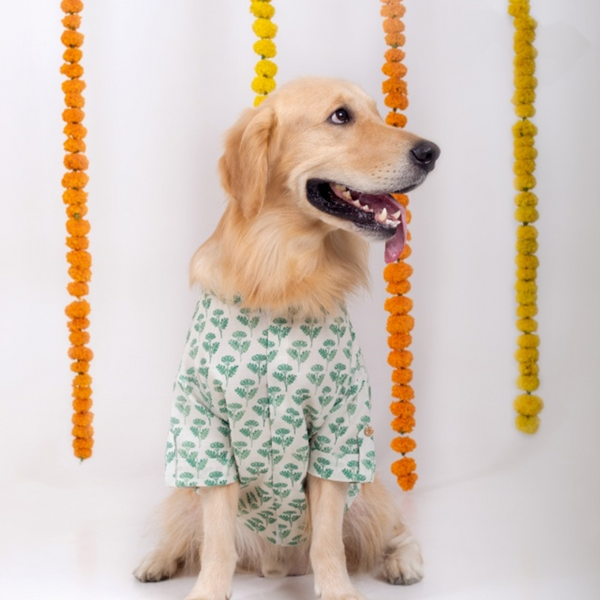 15 Furries Hariyali Kurta for Dogs