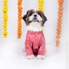 15 Furries Khushi Kurta for Dogs Dogs-Clothing & Accessories 15 Furries Dropship XS