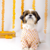 15 Furries Sanskriti Kurta for Dogs Dogs-Clothing & Accessories 15 Furries Dropship