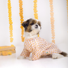 15 Furries Sanskriti Kurta for Dogs Dogs-Clothing & Accessories 15 Furries Dropship XS