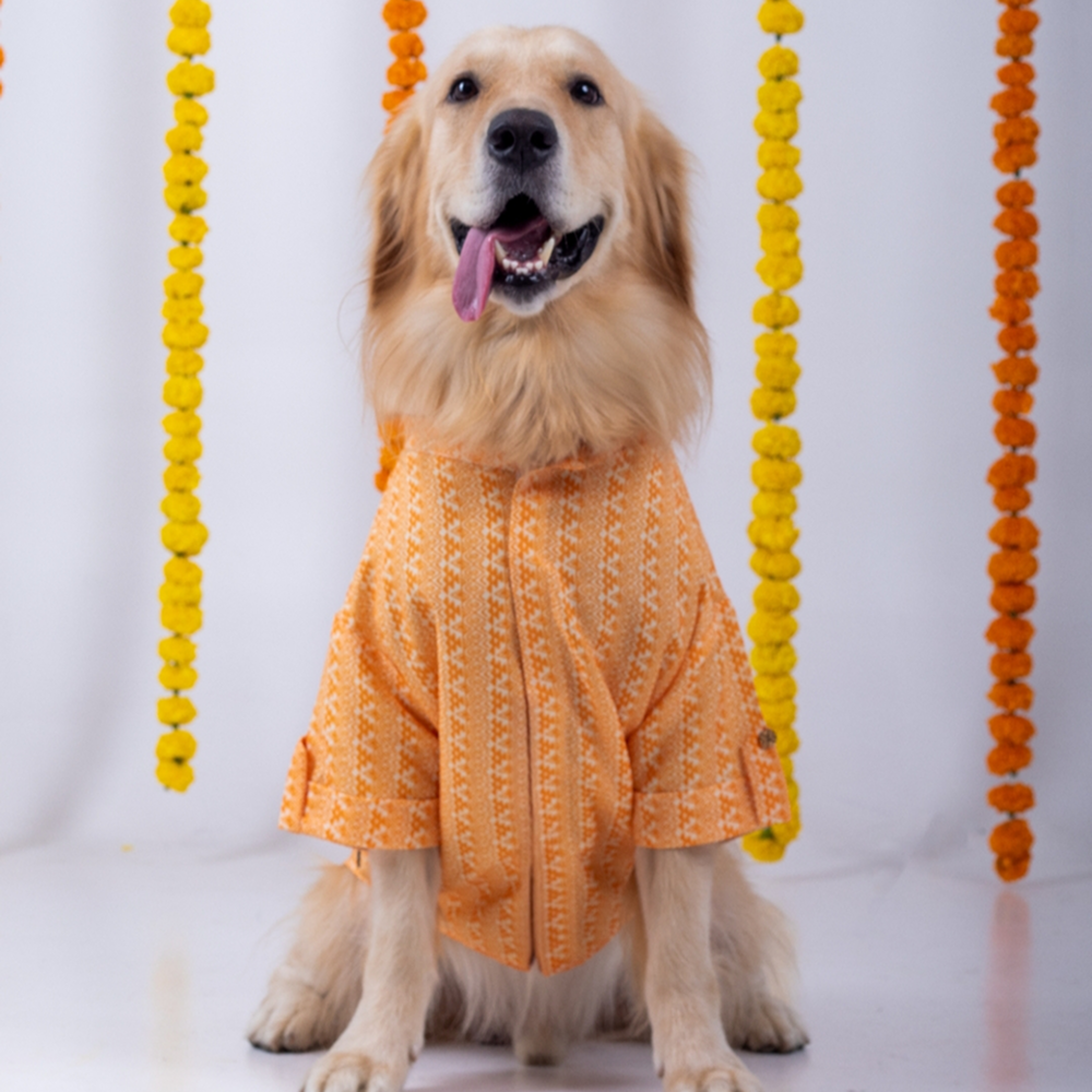 15 Furries Haldi Kurta for Dogs Dogs-Clothing & Accessories 15 Furries Dropship XS