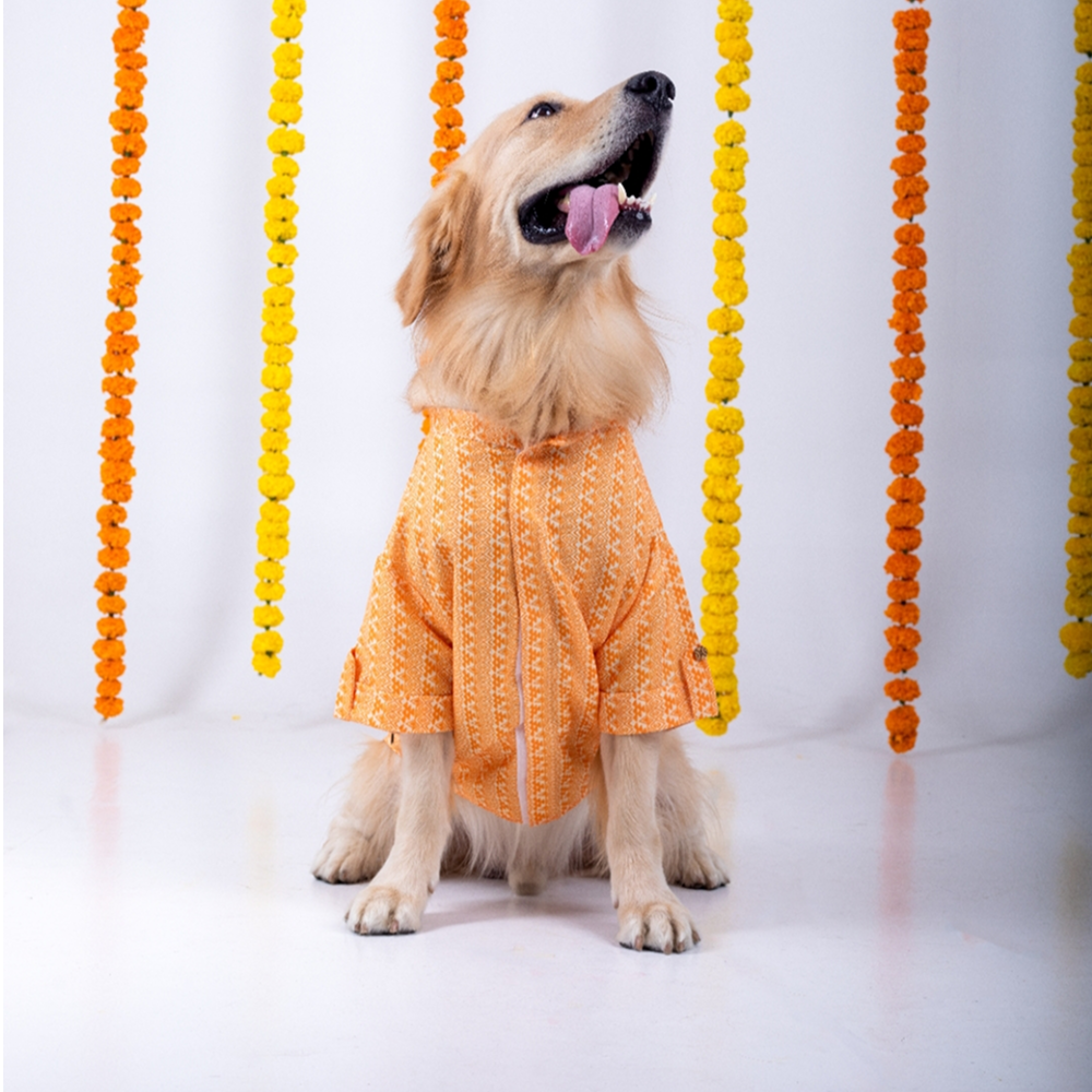 15 Furries Haldi Kurta for Dogs Dogs-Clothing & Accessories 15 Furries Dropship
