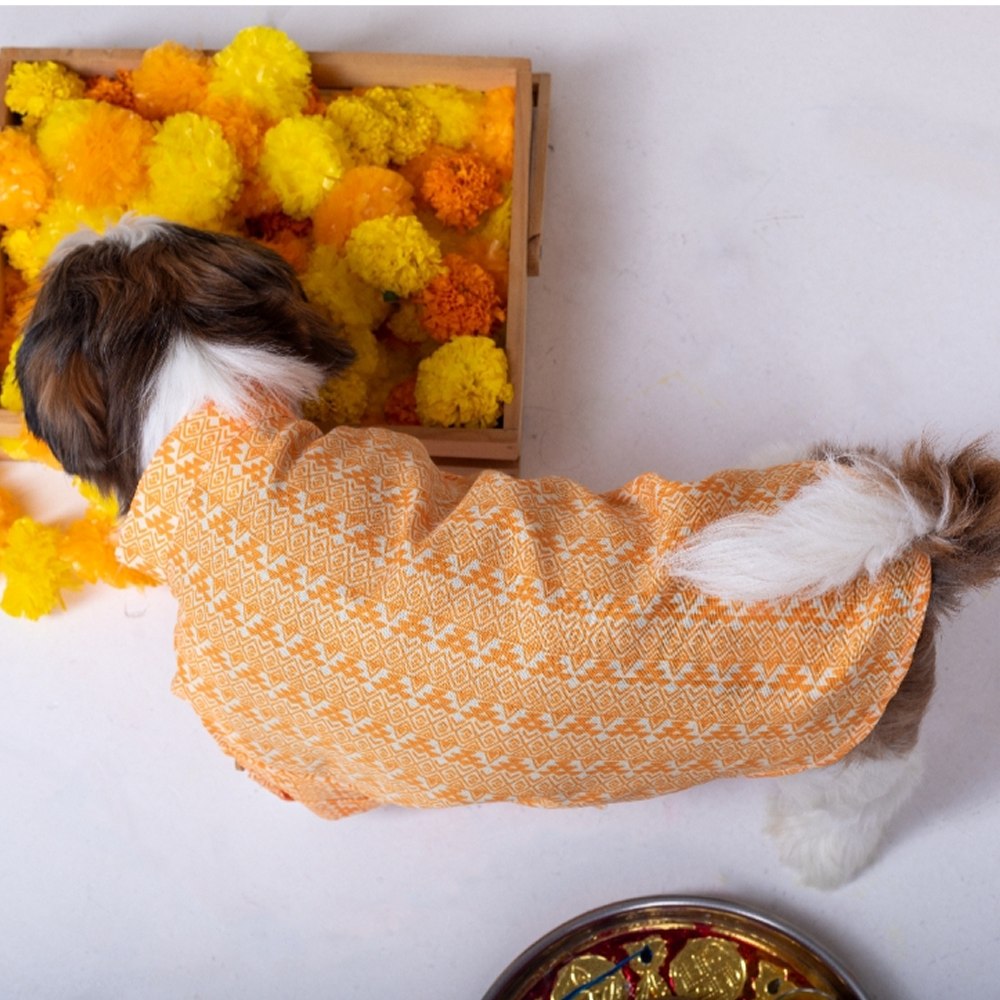 15 Furries Haldi Kurta for Dogs Dogs-Clothing & Accessories 15 Furries Dropship